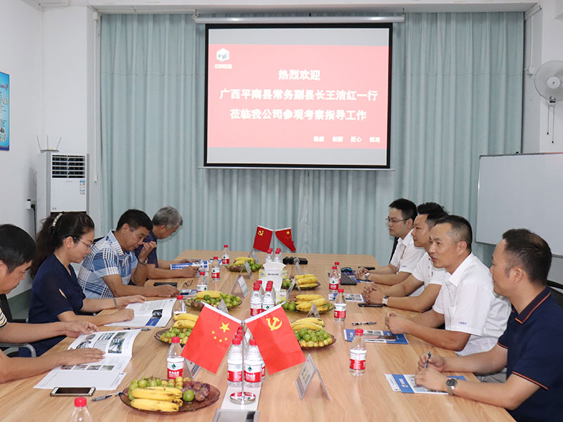 2019-08-31 平南县政府领导考察
